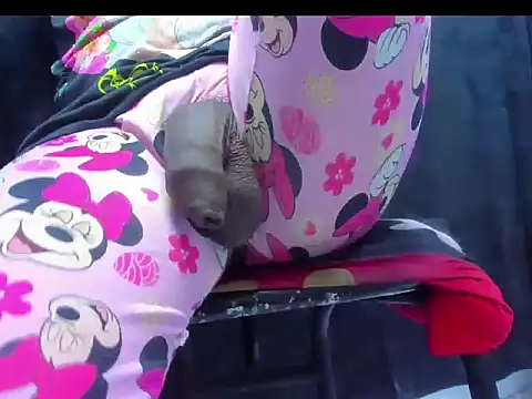 dirtybig cock22 online show from 22, 11, 2025