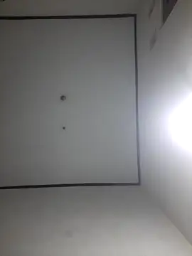 wibunewbie online show from 18, 12, 2025