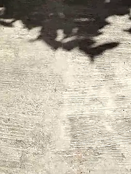 deepti 07 online show from 6, 10, 2025