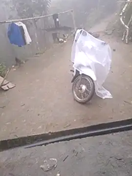 Ripe me online show from 12, 11, 2025