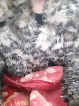 Snapshot of Mahi677 chatting on 8, 1, 2026 Mahi677 online show from 8, 1, 2026