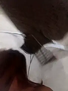 Rabbit-small online show from 19, 12, 2025