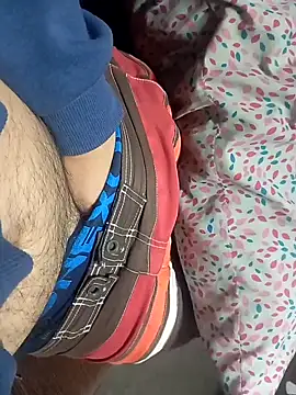 Snapshot of Alfetipies chatting on 19, 10, 2025 Alfetipies online show from 19, 10, 2025