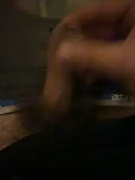 Theanimals online show from 3, 11, 2025