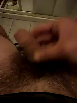 Theanimals online show from 5, 11, 2025