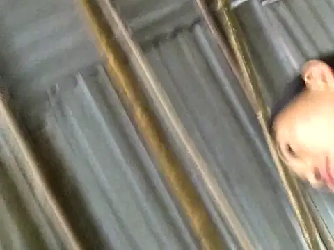 Snapshot of gio-thu chatting on 30, 7, 2026 gio-thu online show from 30, 7, 2026