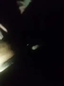 Thaps deDick online show from 11, 4, 2026