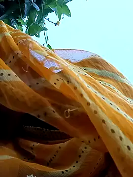 Snapshot of Cutsedi3 chatting on 18, 10, 2025 Cutsedi3 online show from 18, 10, 2025