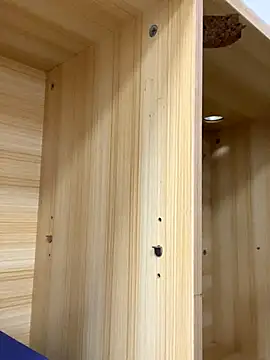 Winona88 online show from 6, 11, 2025