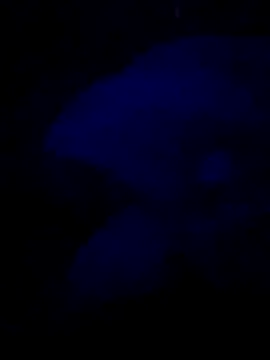 Snapshot of sexdol2 chatting on 25, 7, 2026 sexdol2 online show from 25, 7, 2026