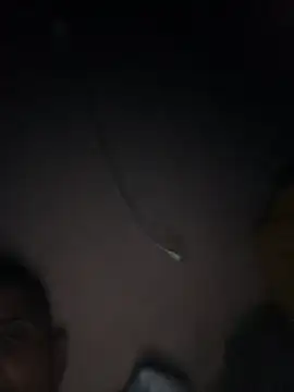 Snapshot of jitsu1988 chatting on 14, 11, 2025 jitsu1988 online show from 14, 11, 2025