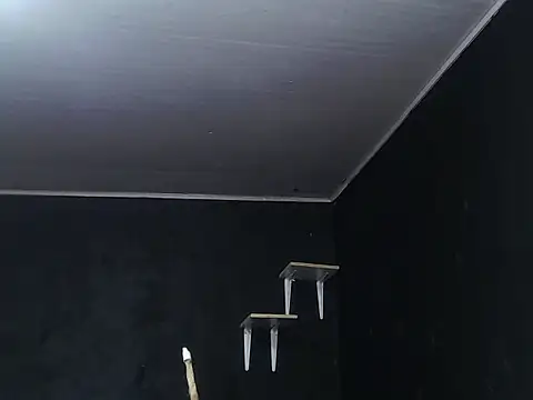 Liastark online show from 30, 11, 2025