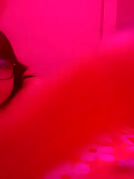 xcodigorojo online show from 20, 11, 2025