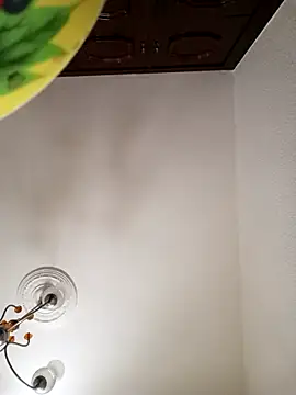 Snapshot of DEWOLT18 chatting on 8, 2, 2026 DEWOLT18 online show from 8, 2, 2026