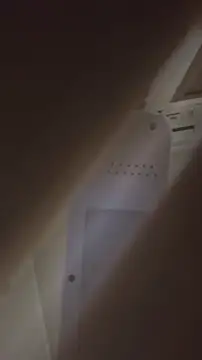 bunnydam online show from 6, 11, 2025