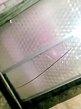 Snapshot of SansanCii chatting on 15, 11, 2025 SansanCii online show from 15, 11, 2025