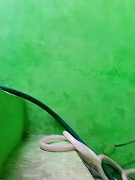 Snapshot of Karishma_cute chatting on 29, 11, 2025 Karishma cute online show from 29, 11, 2025