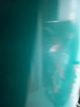 Snapshot of Motoboy100 chatting on 27, 11, 2025 Motoboy100 online show from 27, 11, 2025