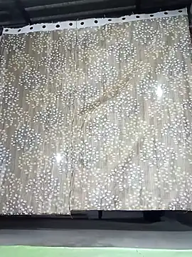 Rajni chauhan online show from 30, 11, 2025