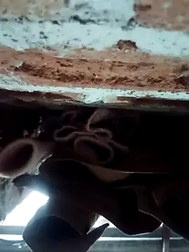 Snapshot of Rajni_chauhan chatting on 1, 2, 2026 Rajni chauhan online show from 1, 2, 2026