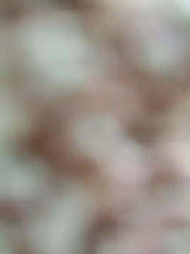 Rajni chauhan online show from 19, 3, 2026