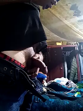 Cogelonregio online show from 2, 3, 2026