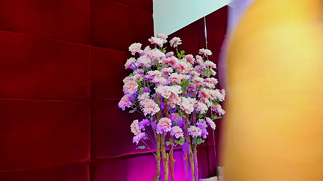 StepMomAnn online show from 9, 11, 2025