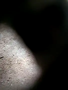 Snapshot of M-MAYA chatting on 1, 11, 2025 M-MAYA online show from 1, 11, 2025