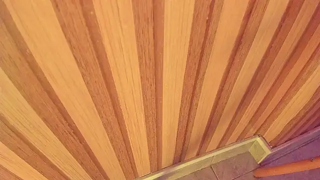 mia  blaze   online show from 15, 1, 2026