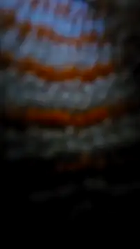 Sexecochon online show from 22, 12, 2025