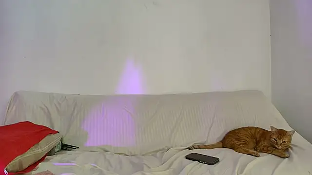 Nikki  uwu online show from 2, 6, 2026