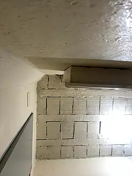 wellingtonmds online show from 16, 1, 2026