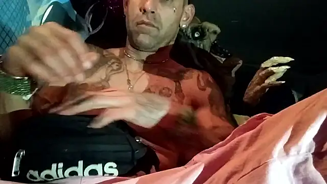 Snapshot of alphacloudGod chatting on 25, 10, 2025 alphacloudGod online show from 25, 10, 2025