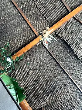 Snapshot of gitanoMad chatting on 3, 4, 2026 gitanoMad online show from 3, 4, 2026