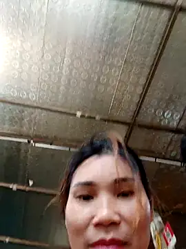 Bear bear0 online show from 24, 10, 2025