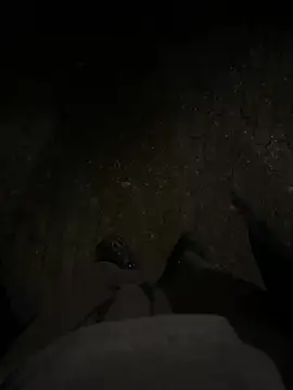 bart98geil online show from 1, 3, 2026