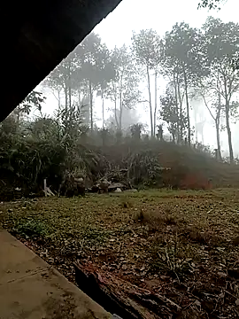 Snapshot of sowbibi chatting on 15, 12, 2025 sowbibi online show from 15, 12, 2025