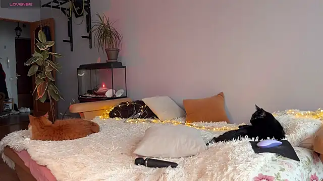 Lin Cherie online show from 20, 11, 2025