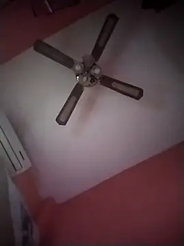 Danii2005 online show from 6, 11, 2025