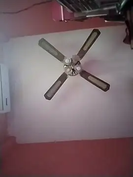 Danii2005 online show from 17, 12, 2025