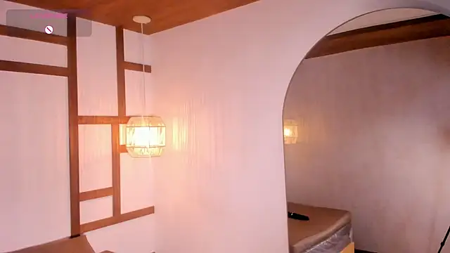 Viana dior online show from 27, 11, 2025