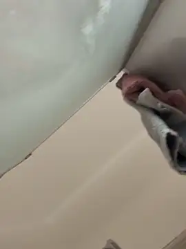 gatitalocahot online show from 17, 12, 2025