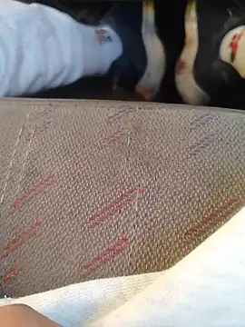 666Daemon666 online show from 17, 1, 2026