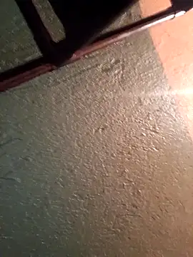 Snapshot of Elvergon22546 chatting on 17, 11, 2025 Elvergon22546 online show from 17, 11, 2025