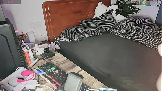 xiner-6666 online show from 26, 10, 2025