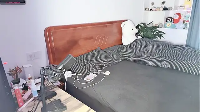 xiner-6666 online show from 29, 10, 2025