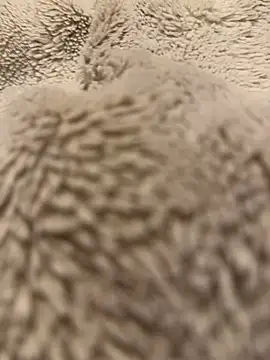 Jackoff2345 online show from 18, 2, 2026