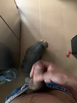 Snapshot of findomhot chatting on 4, 2, 2026 findomhot online show from 4, 2, 2026