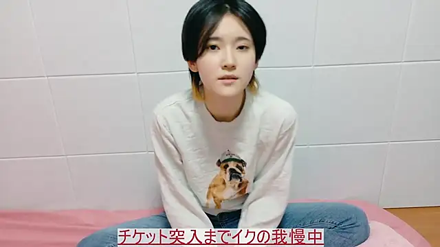 NORA NEKO 2 2 online show from 7, 11, 2025