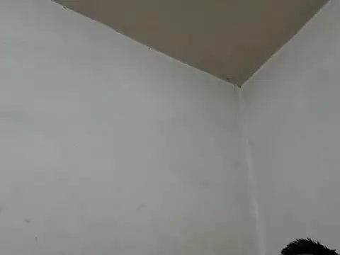 GordoChancludoSLP online show from 25, 11, 2025